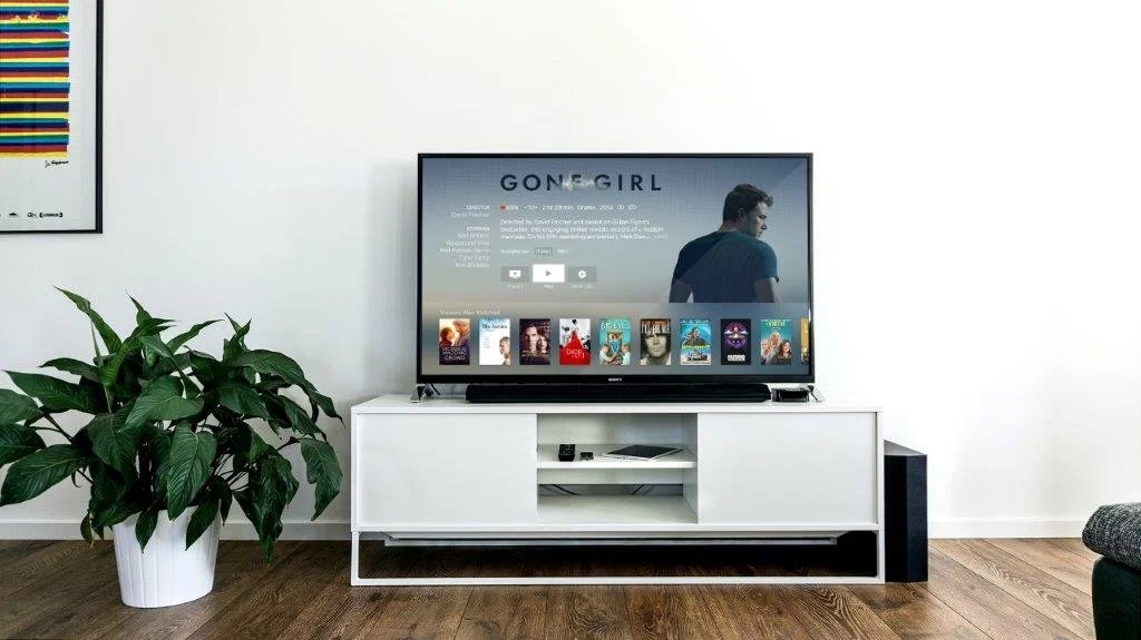 Entertainment unit